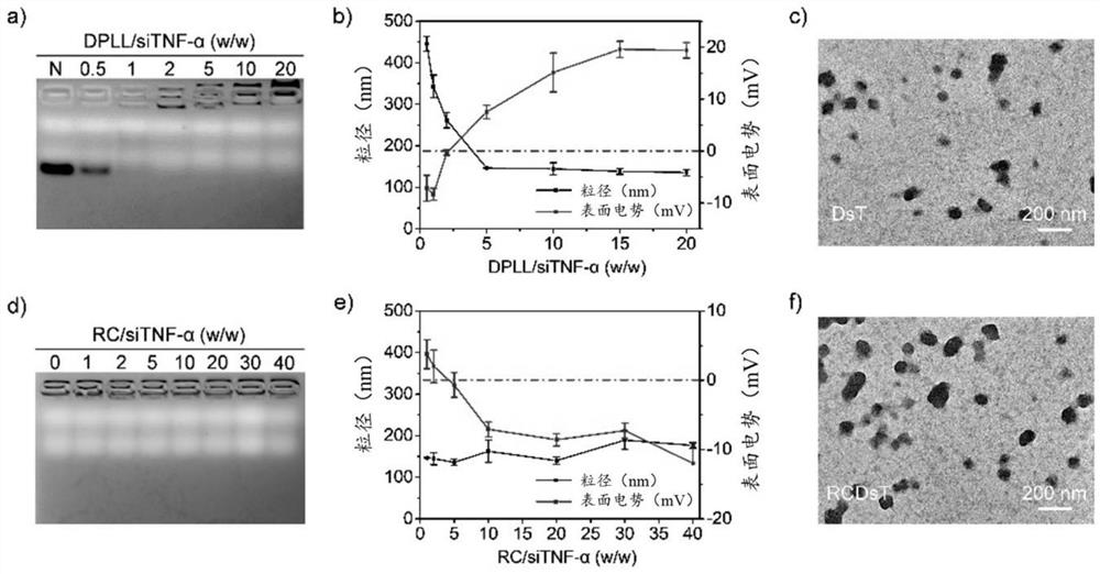 Lung gene delivery system and preparation method and application thereof