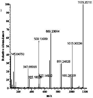 A method for distinguishing starch syrup mixed in honey