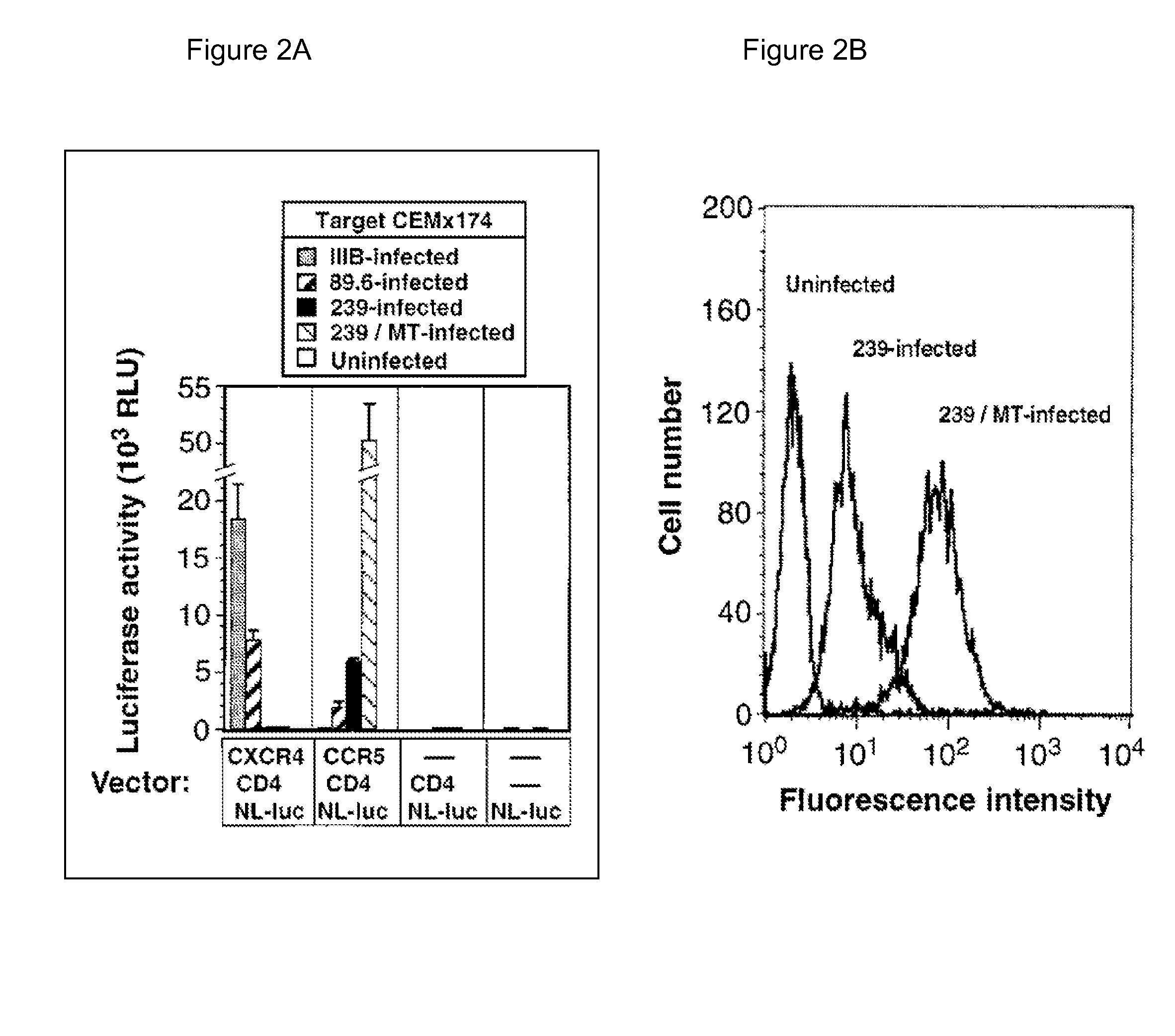Lipoparticle comprising a protein and methods of making and using the same