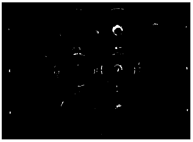 Rapid in-vitro antifungal trichoderma screening method