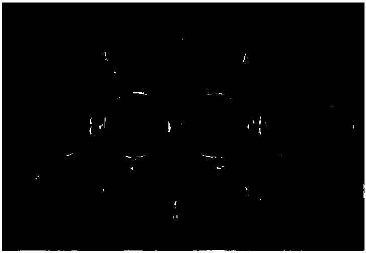 Rapid in-vitro antifungal trichoderma screening method