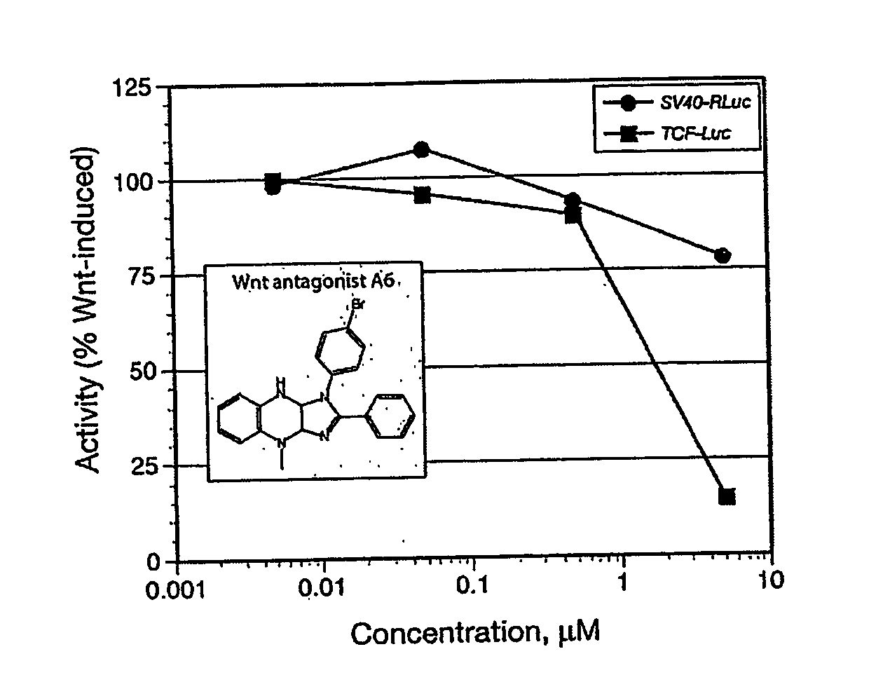 Wnt Pathway Antagonists