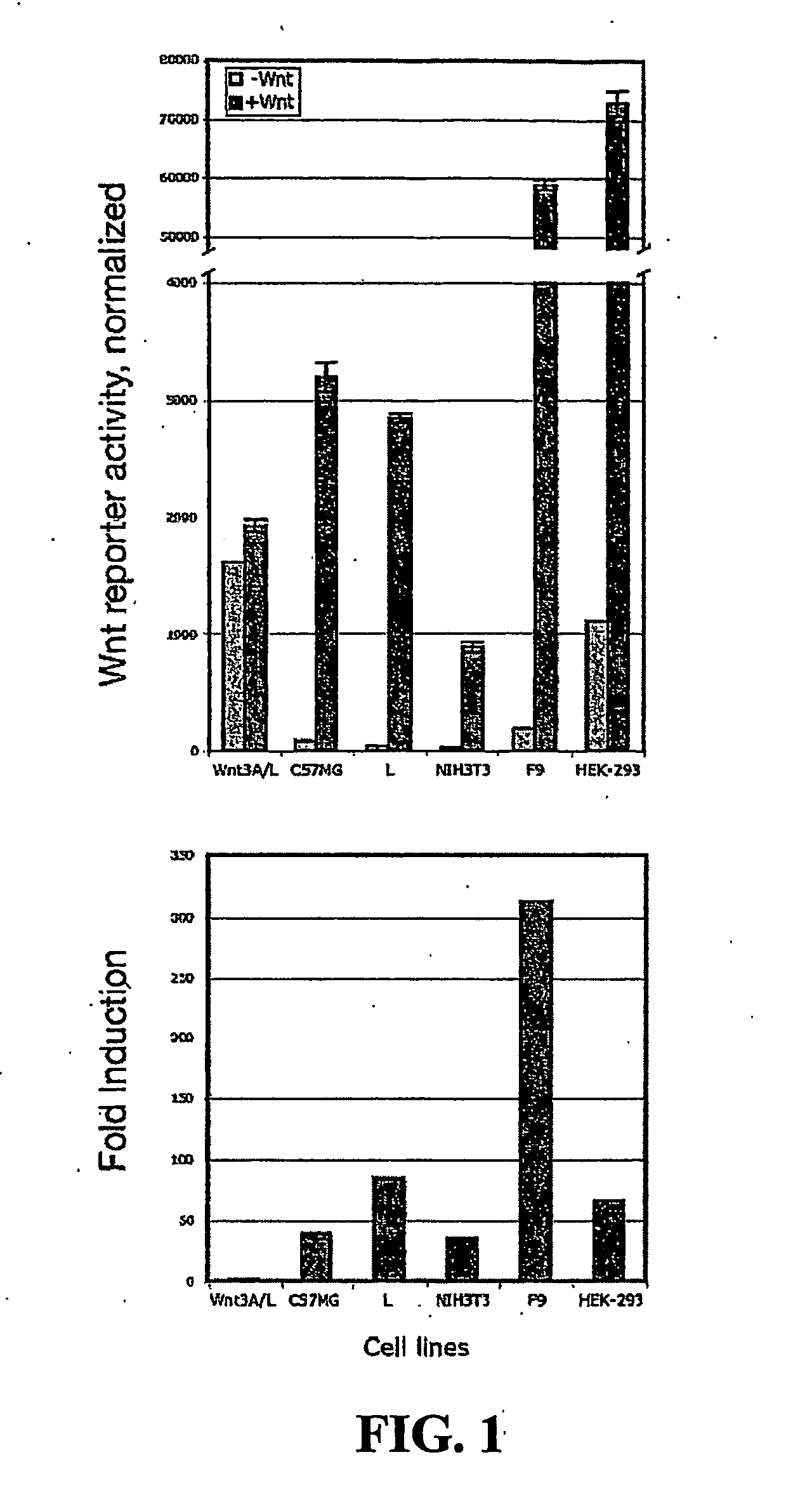 Wnt Pathway Antagonists