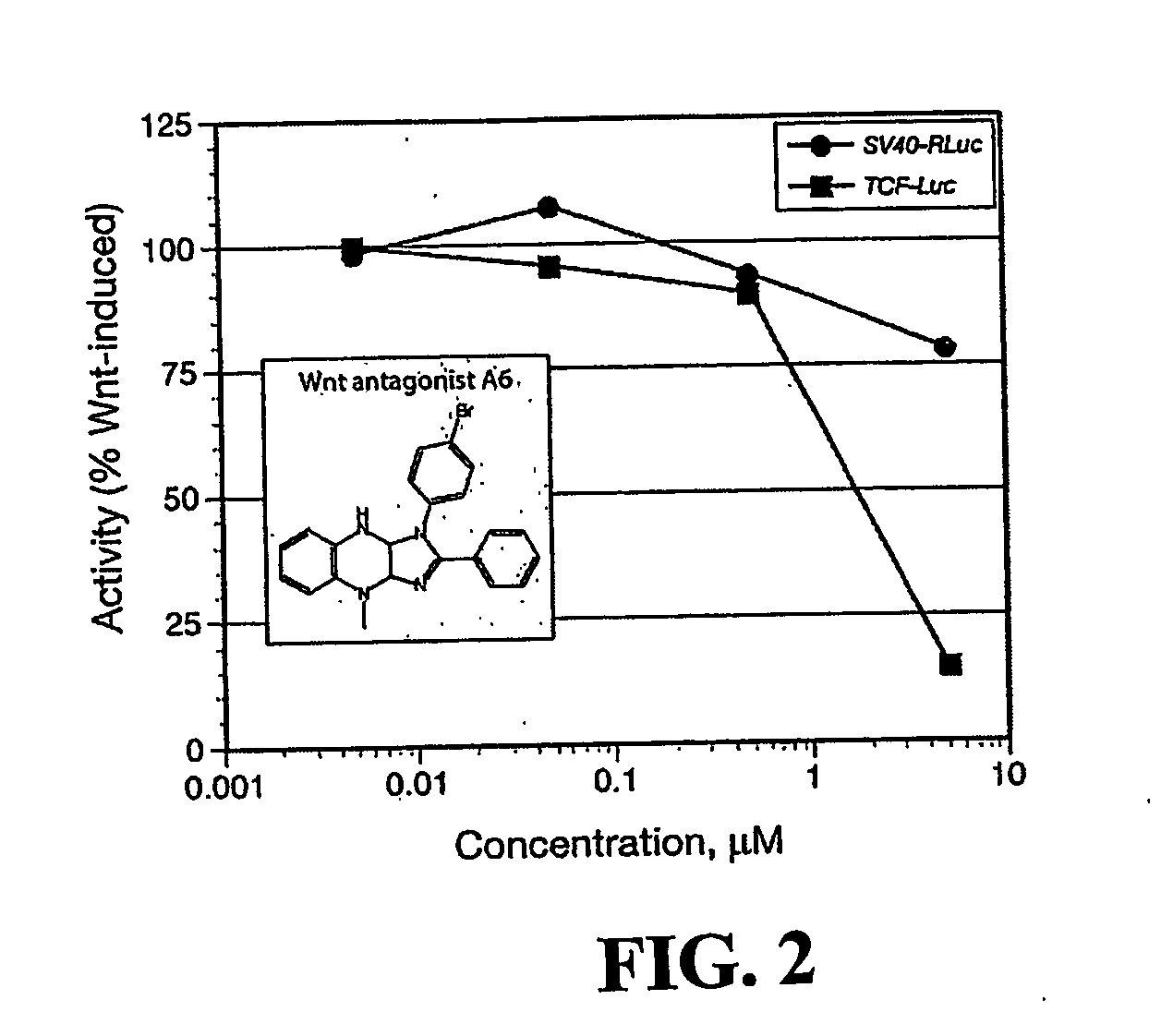 Wnt Pathway Antagonists