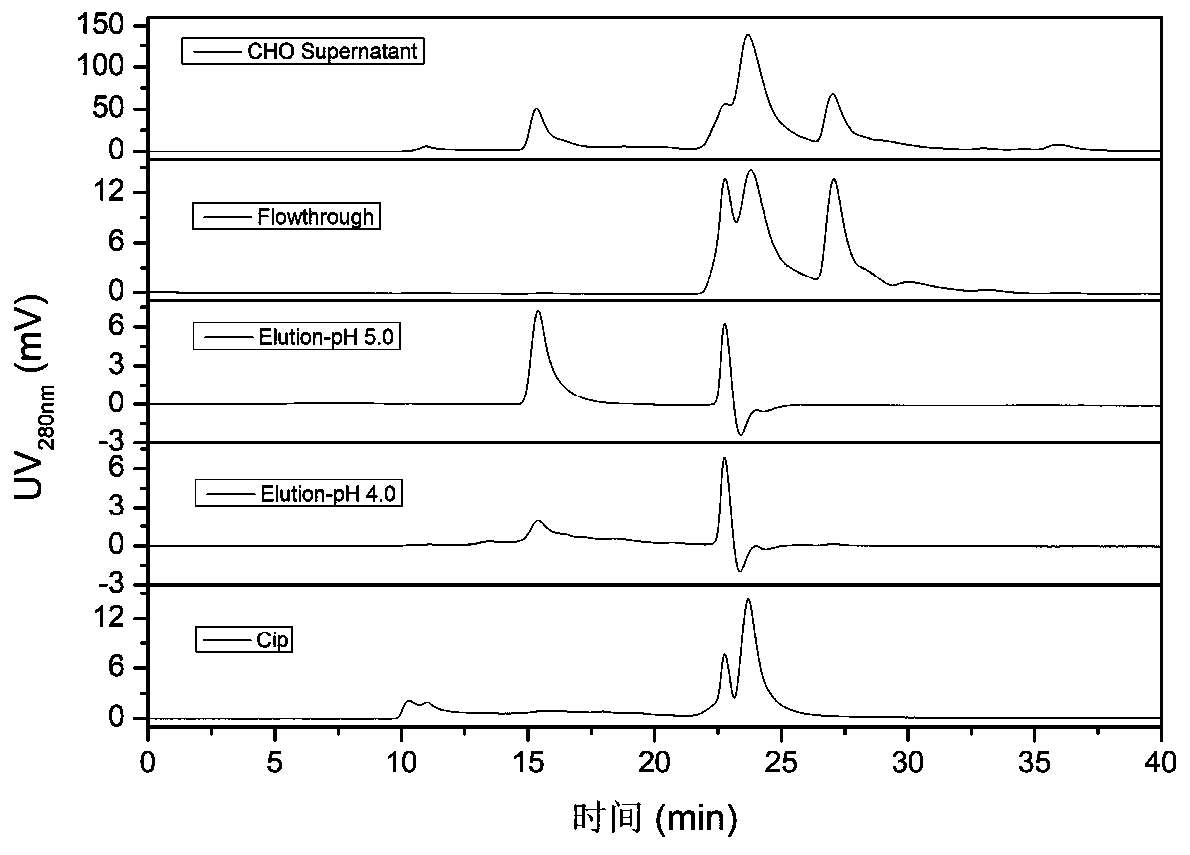 An affinity biomimetic chromatography medium with tetrapeptide as functional ligand