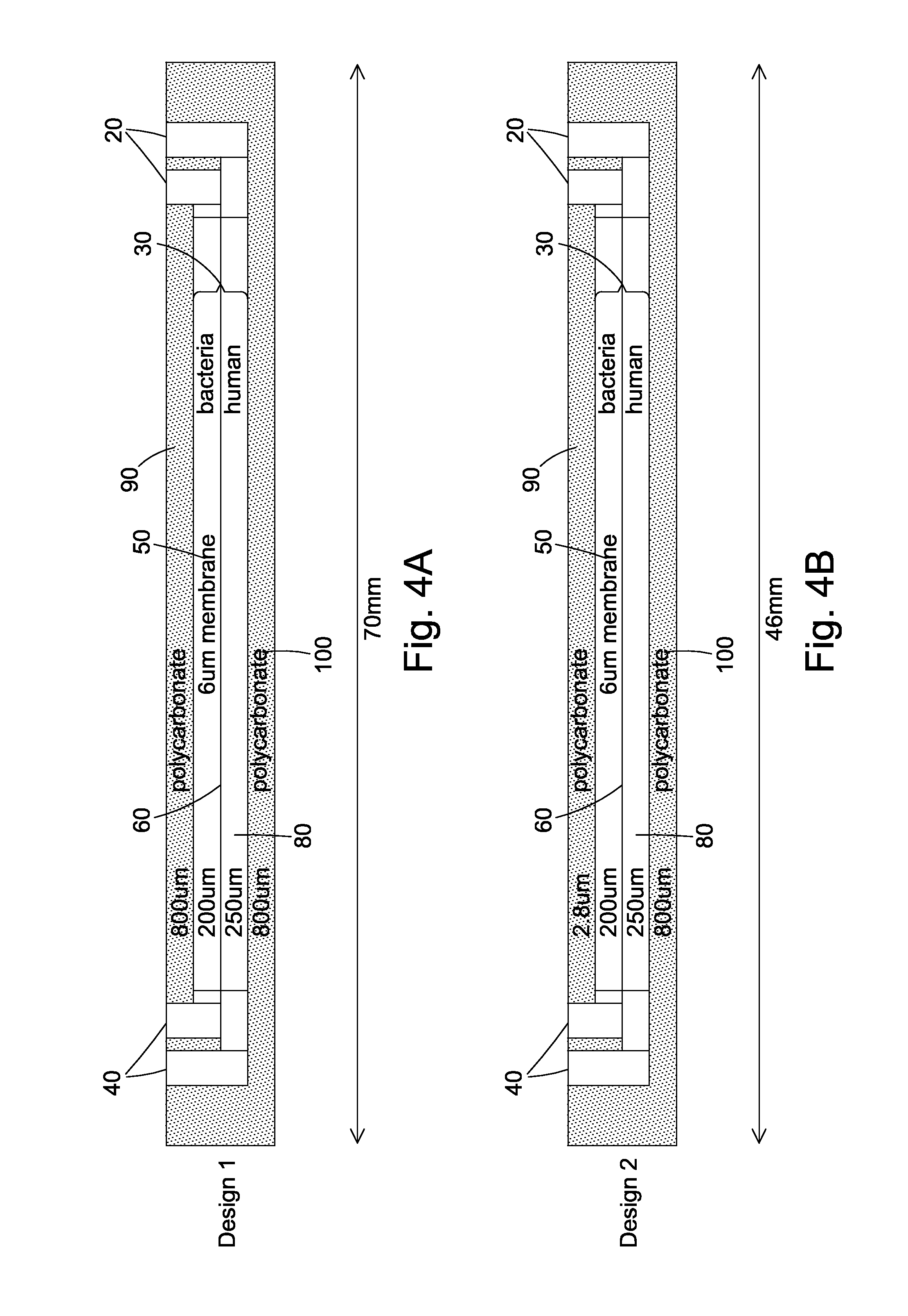 Cell culture apparatus and culture methods using same