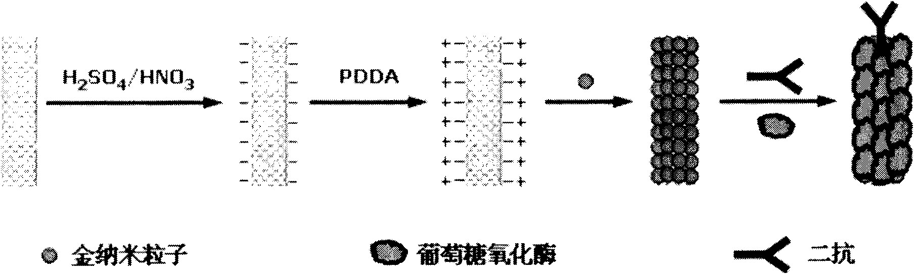 Disposable multi-channel electrochemical immunosensor with high sensitivity