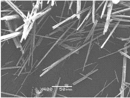 Method for preparing calcium sulfate crystal whisker in low cost
