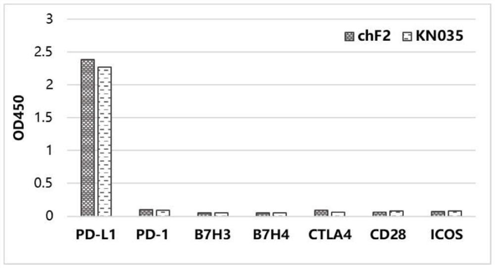 Single variable domain antibody targeting human programmed death ligand 1 (PD-L1) and derivative of single variable domain antibody