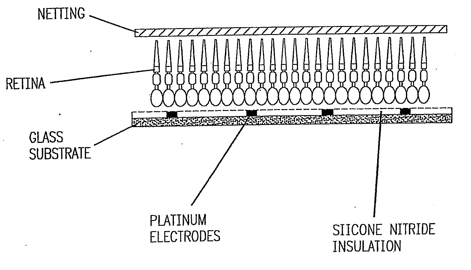 Method and Apparatus for Visual Neural Stimulation