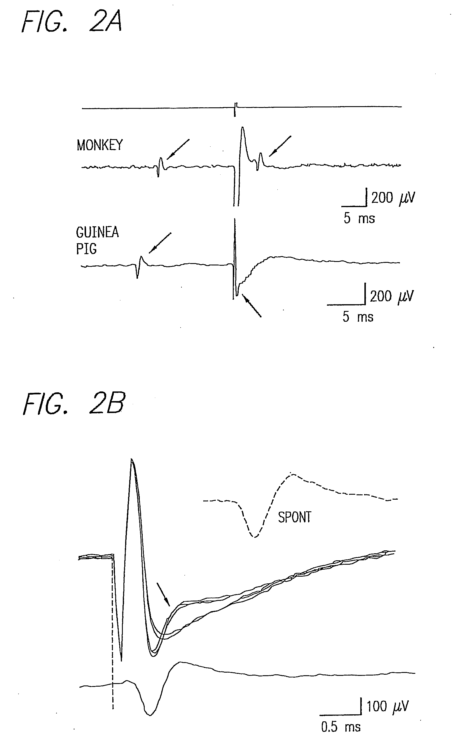 Method and Apparatus for Visual Neural Stimulation