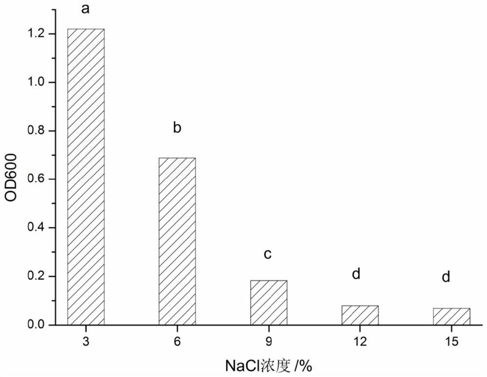 Lactobacillus pentosus hn127 and its application in the preparation of fermented sausage