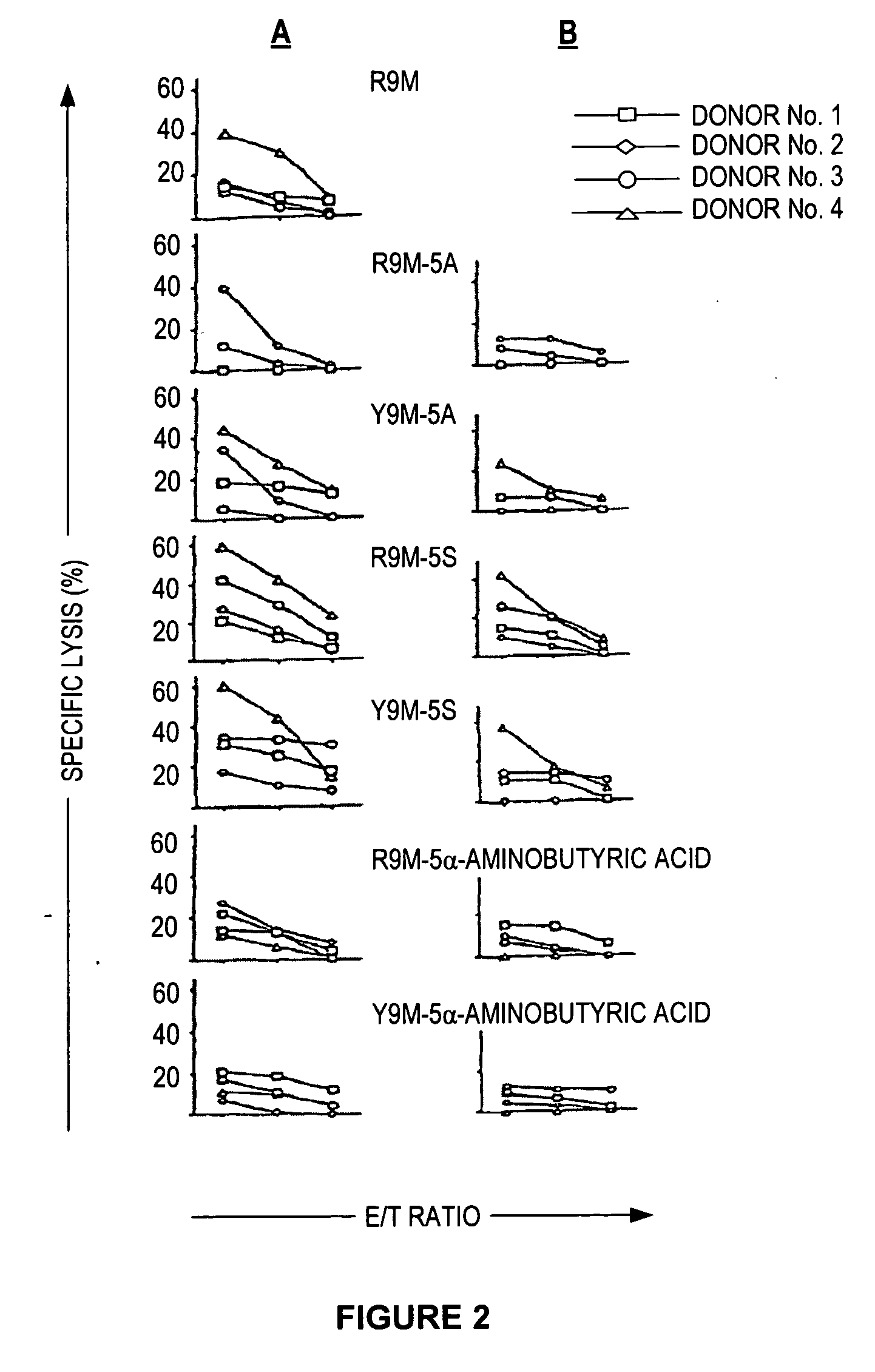 Mutated immunogenic peptides derived from R9M, polynucleotides coding for same and therapeutic uses thereof