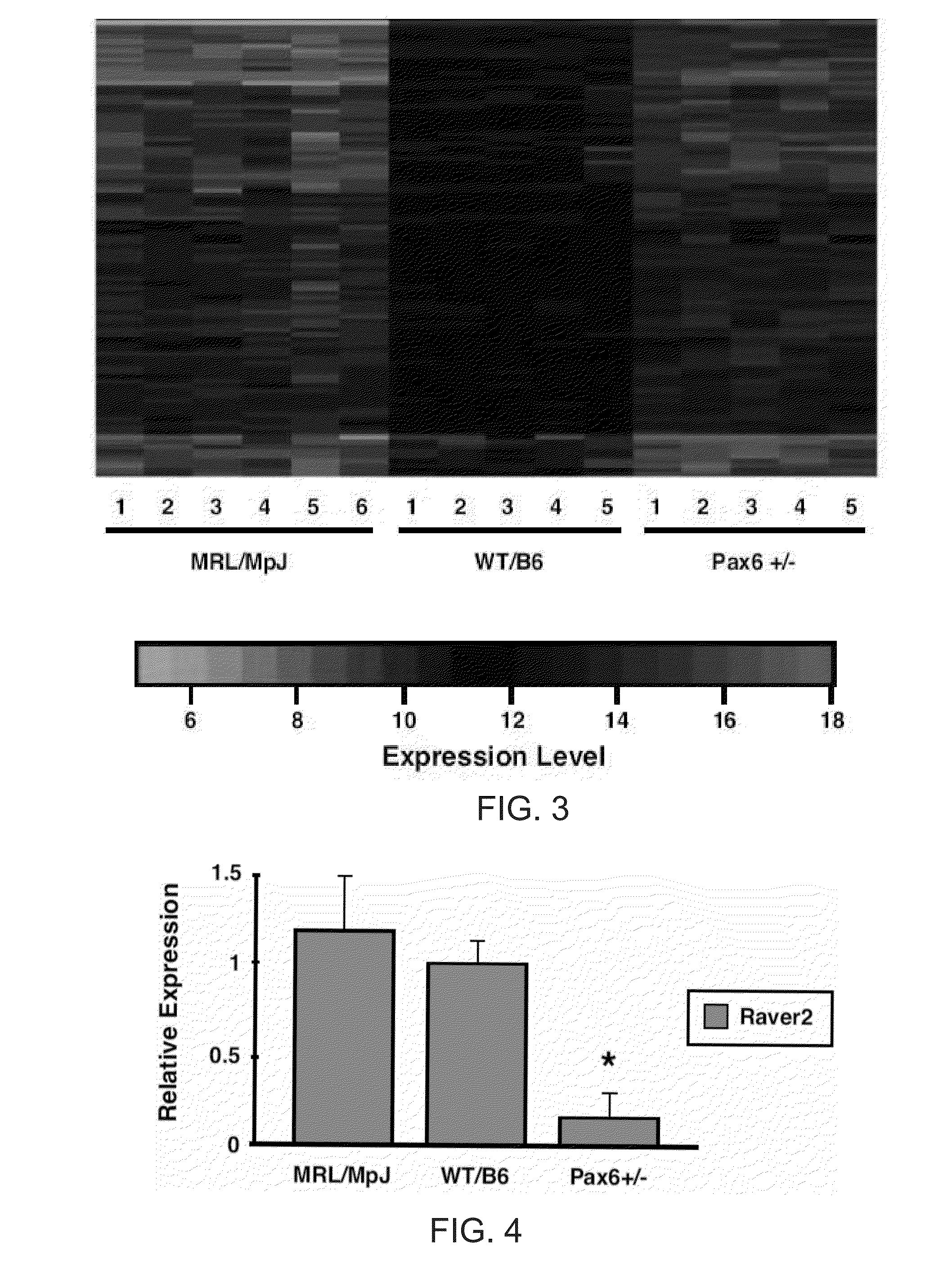 Methods of controlling vascularity using raver2 as a mediator for expression of VEGF receptor sfit1