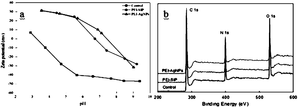 Fouling-resistant antibacterial composite forward-osmosis membrane with positive surface charges and preparation method therefor