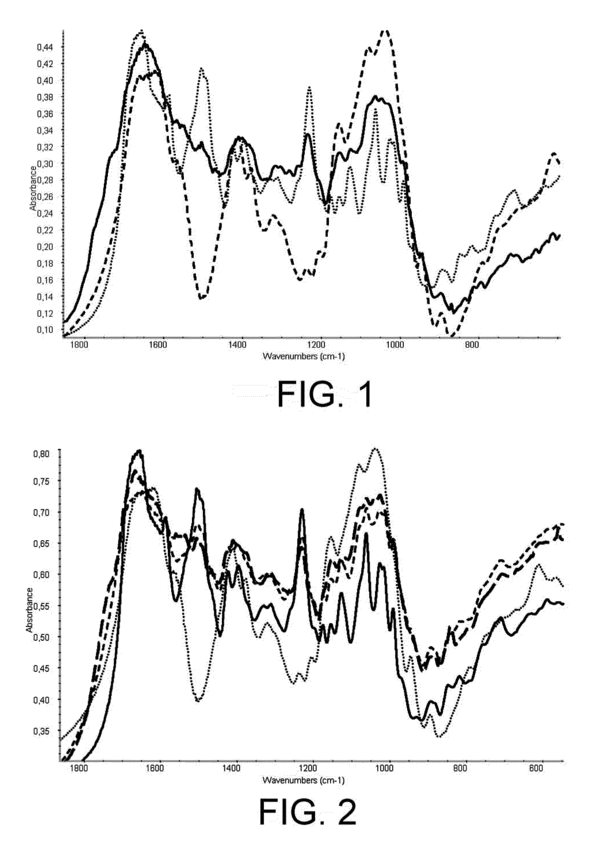 Implantable devices having antibacterial properties and multifunctional surfaces