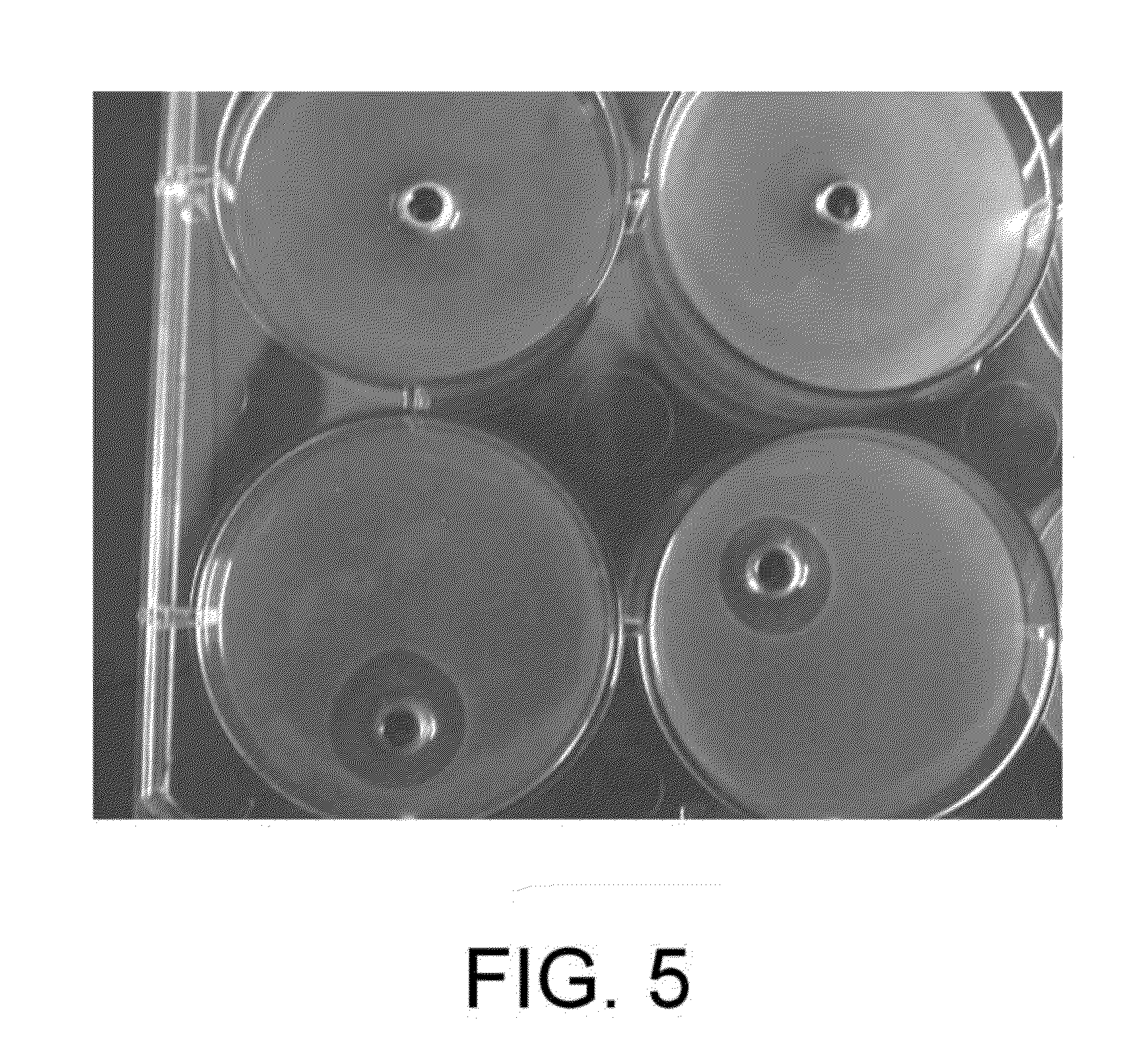 Implantable devices having antibacterial properties and multifunctional surfaces
