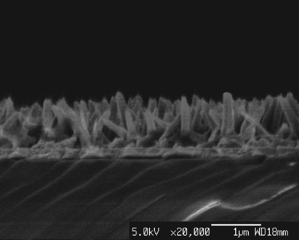 Method for preparing ZnO nano-rod array through one-step electro-deposition