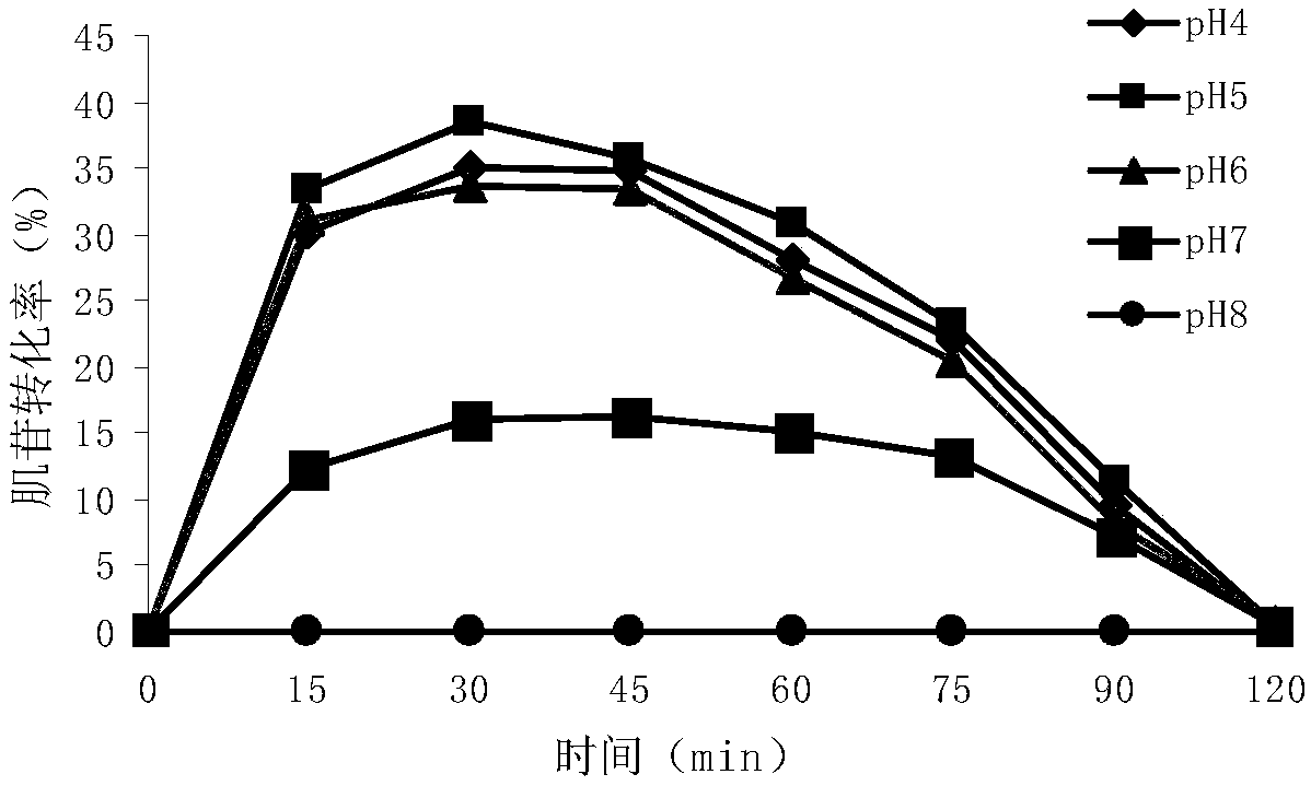 Application of protein and nucleic acid molecule encoding the protein in preparation of phosphohydrolase