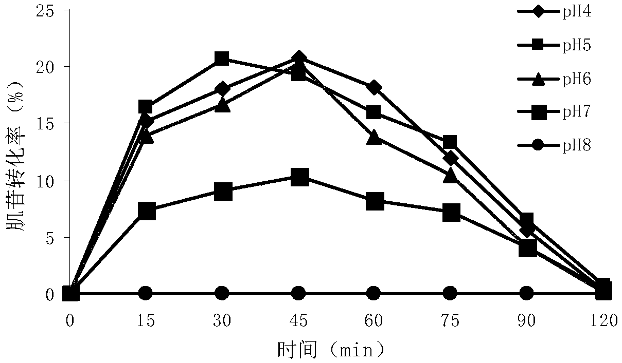 Application of protein and nucleic acid molecule encoding the protein in preparation of phosphohydrolase