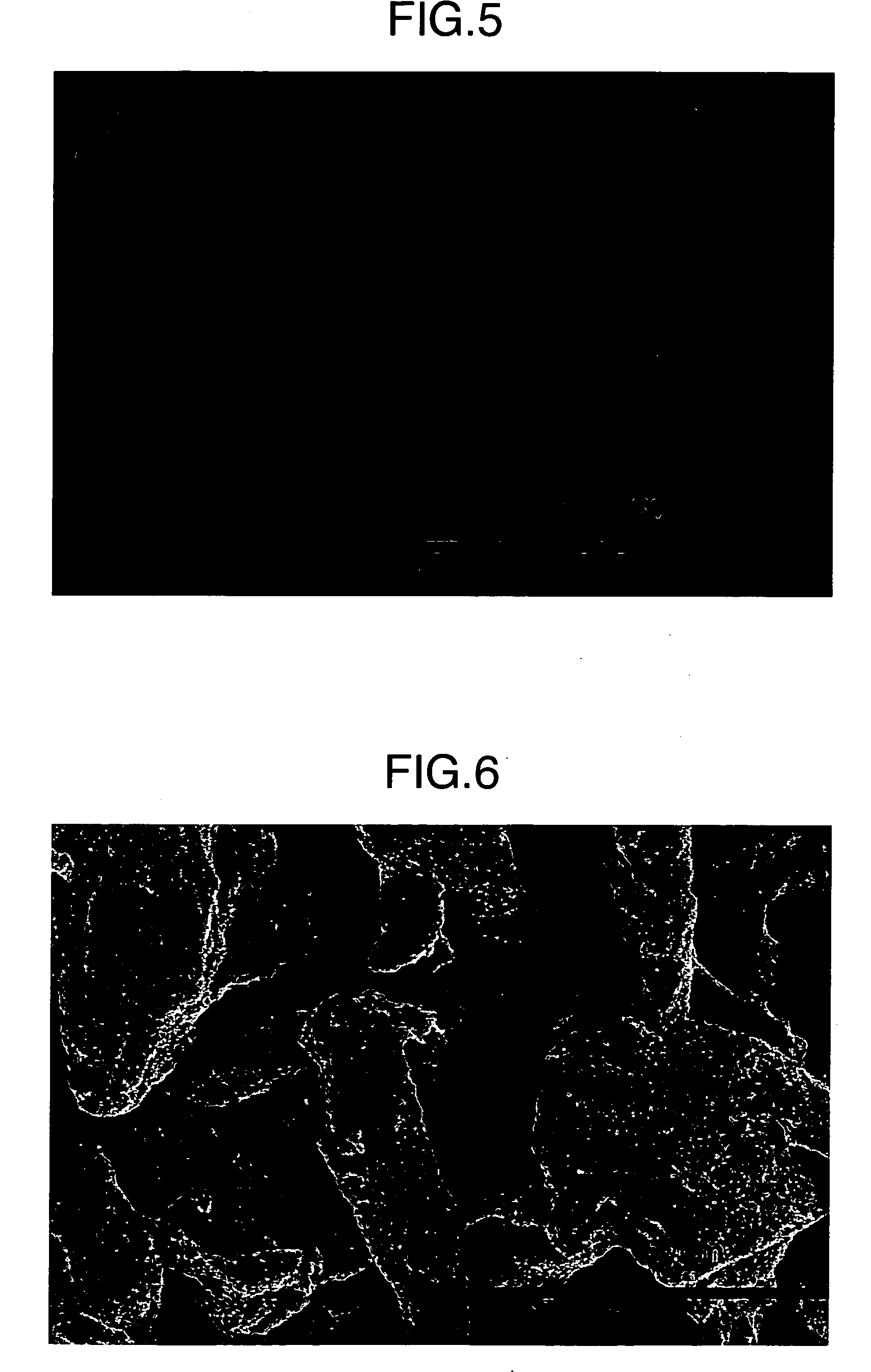 Porous cellulose aggregate and formed product composition comprising the same