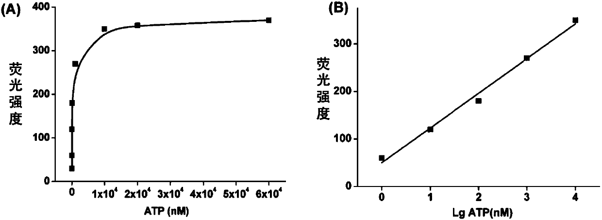 Detection kit based on aptamer