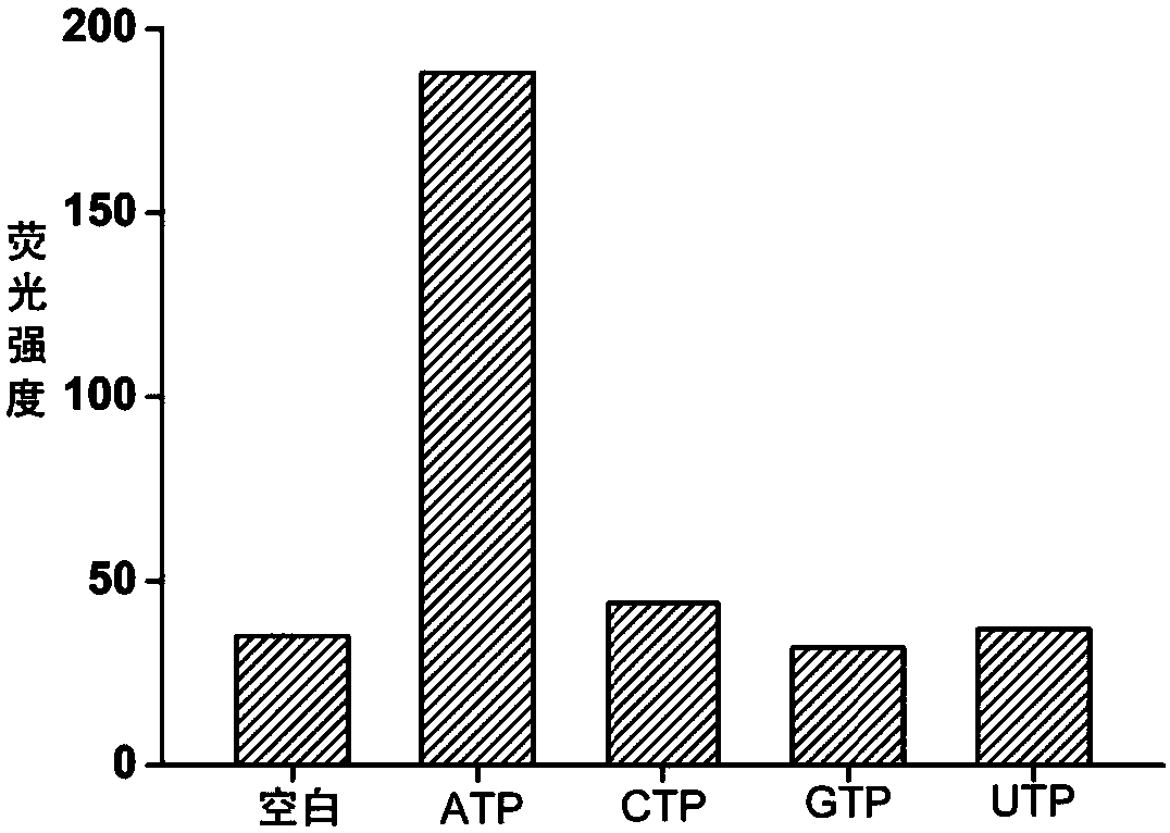 Detection kit based on aptamer