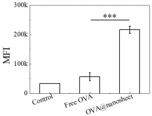 A kind of sheet calcium phosphate vaccine adjuvant and preparation method thereof