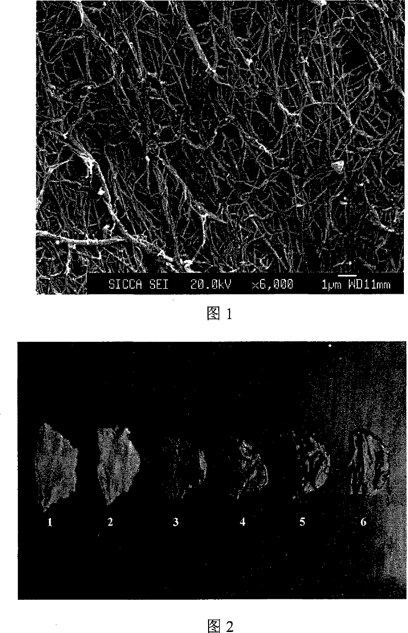 Method for preparing bioartificial heart valve material by cross-linking quercetin