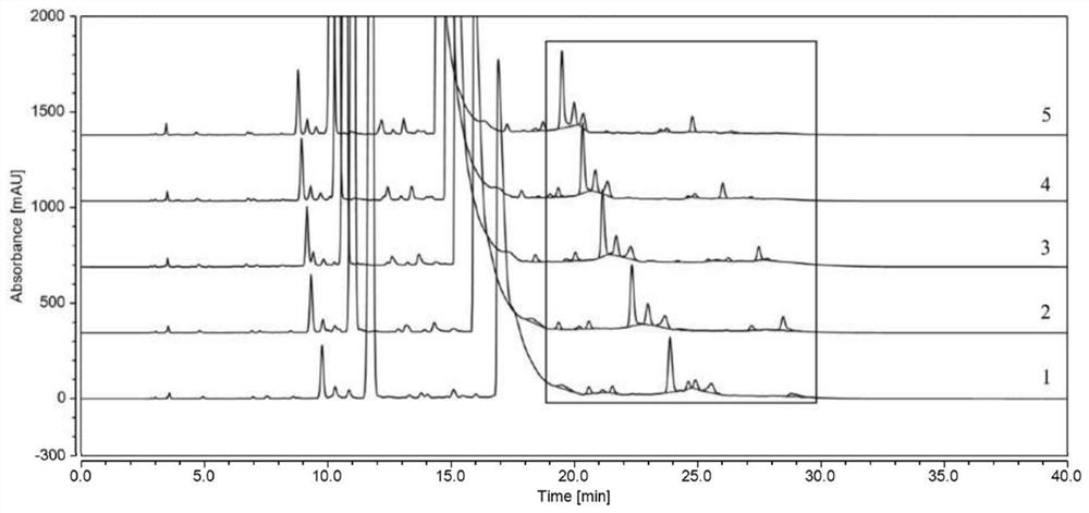 Method for detecting polymer impurities in cefadroxil raw material medicine and preparation of cefadroxil raw material medicine