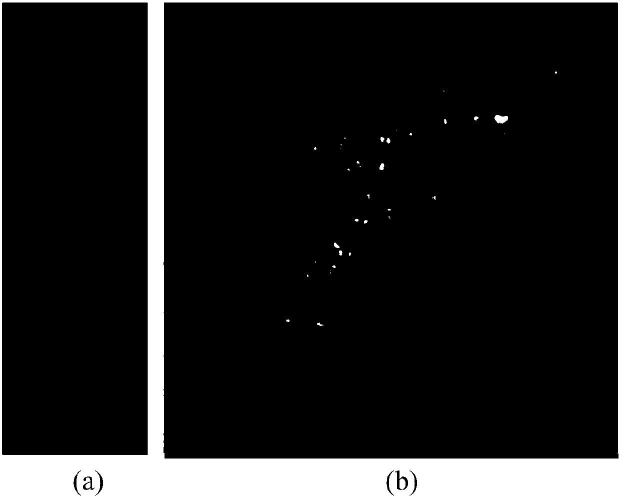 Extraction method of echinocandin b mother nucleus