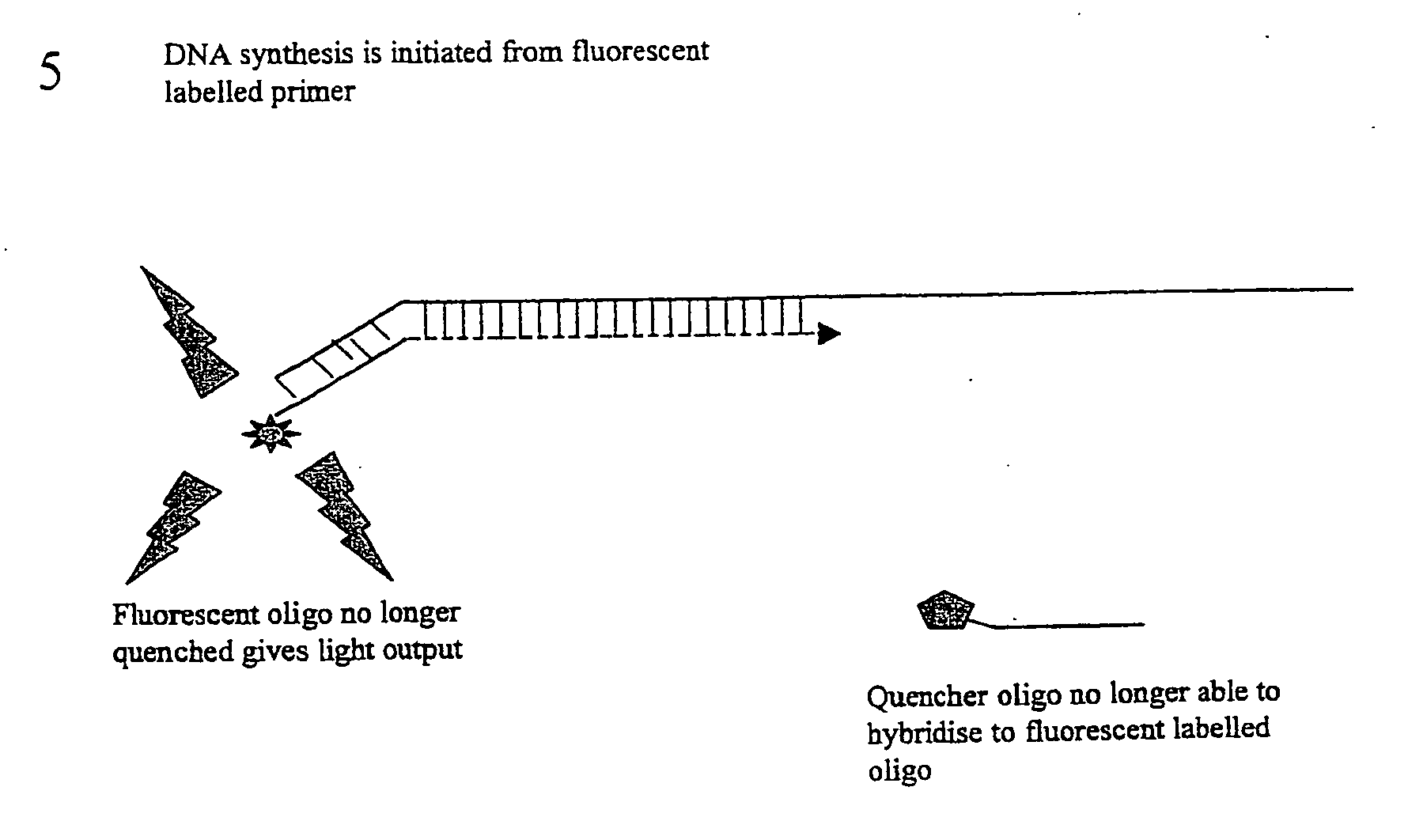 Detection system for PCR assay