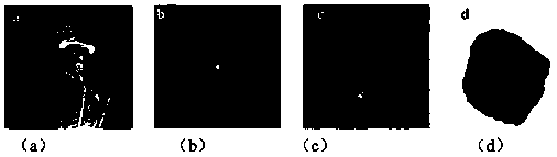 A 3D Interactive Segmentation Method for MR Image Based on Active Contour Model Based on Random Walk and Graph Cut