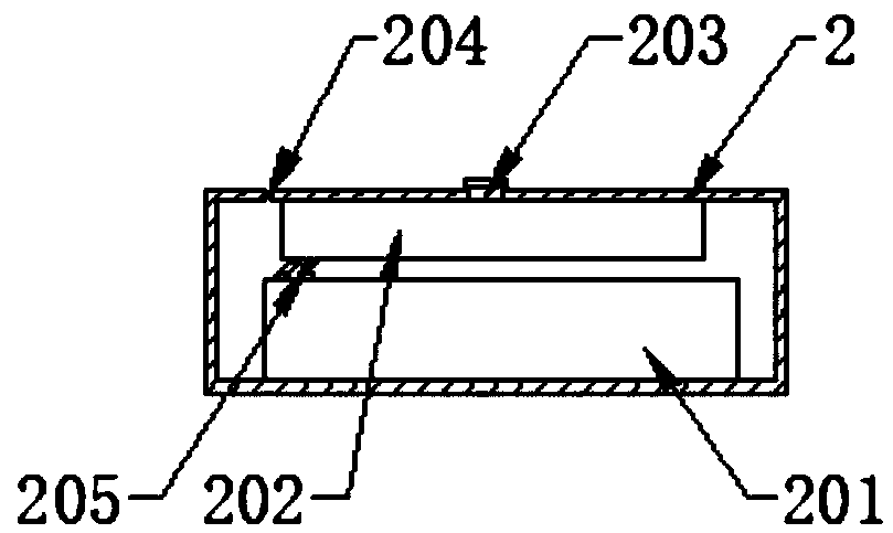 Monitoring device with voice prompt function