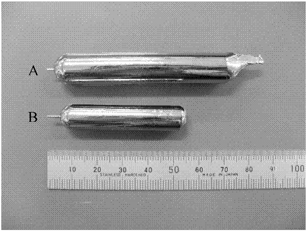 Large-size Zr standard crystal material and preparation method thereof