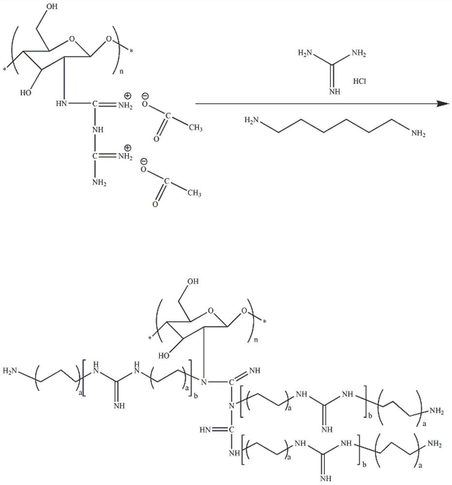 Chitosan modified guanidine salt polymer and preparation method thereof, modified waterborne polyurethane and preparation method thereof, and modified waterborne polyurethane coating