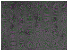 A kind of sulfur particle flocculant suitable for iron-based desulfurization liquid