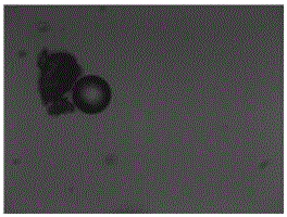 A kind of sulfur particle flocculant suitable for iron-based desulfurization liquid