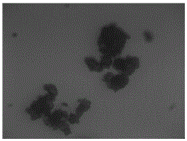 A kind of sulfur particle flocculant suitable for iron-based desulfurization liquid