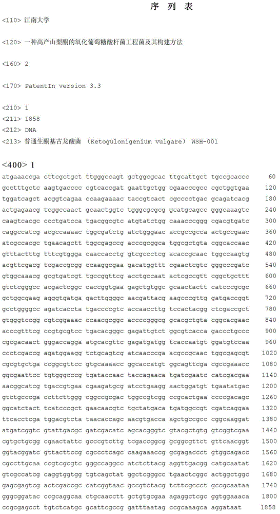 Gluconobacter oxydans engineering bacterium for producing sorbic ketone in high yield mode and construction method thereof