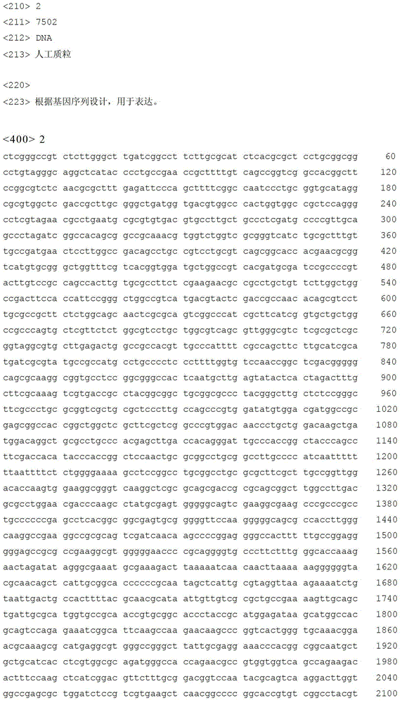 Gluconobacter oxydans engineering bacterium for producing sorbic ketone in high yield mode and construction method thereof