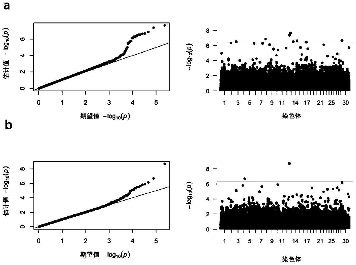 Molecular Markers and Detection Methods of Holstein Cattle Heat Stress Tolerance