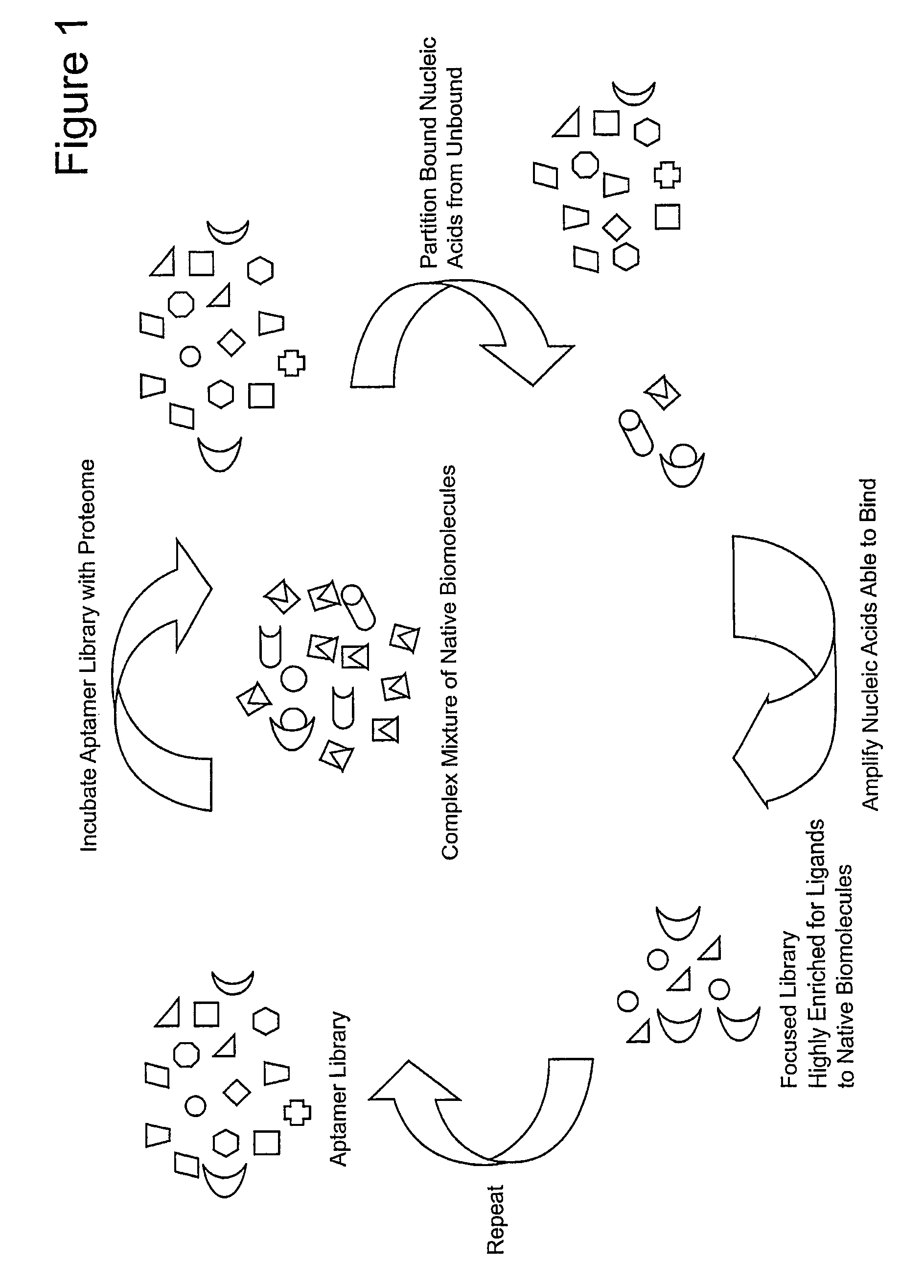 Focused libraries, functional profiling, laser SELEX, and DESELEX