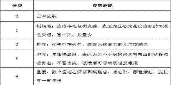 Acne gel containing traditional Chinese medicine components and preparation method thereof