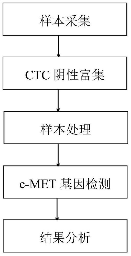 A method and kit for detecting c-met gene copy number variation from human peripheral blood ctc