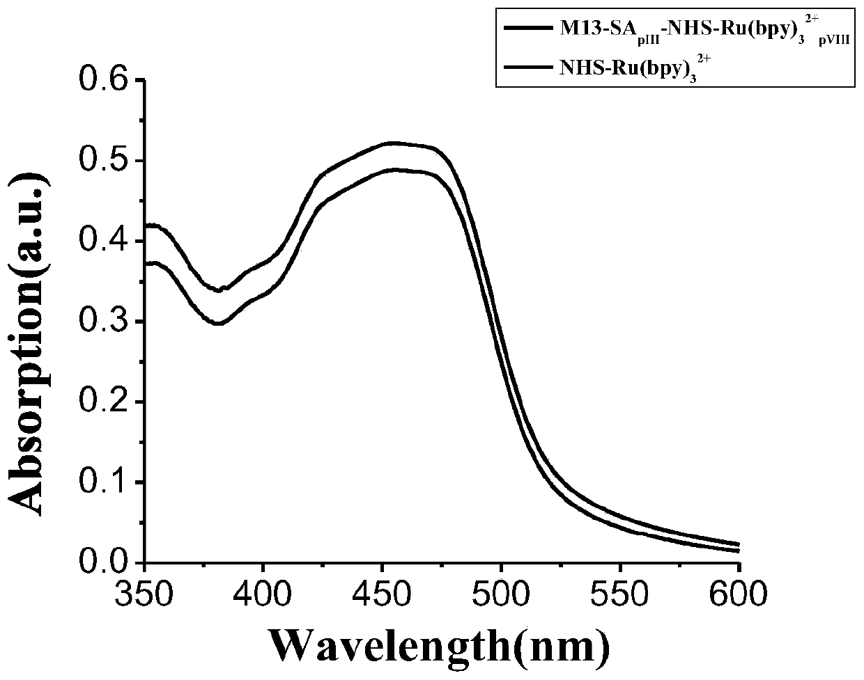 A kind of bacteriophage electrochemiluminescent signal amplification probe and its preparation method and application