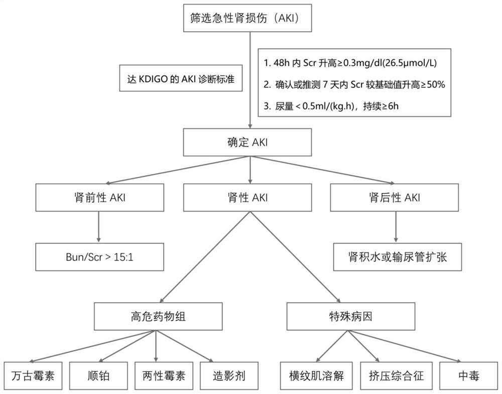 AKI layered early warning and clinical disease monitoring management method and system