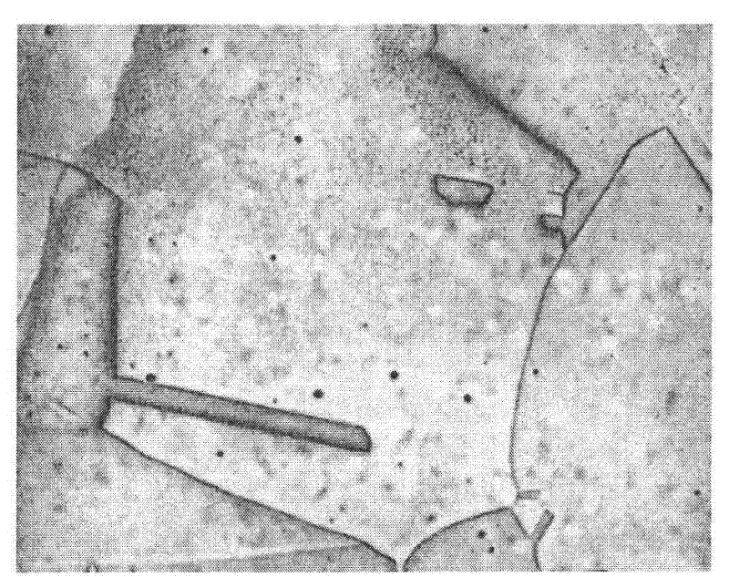 Method for preparing lead and lead alloy metallic phase samples and exposing texture