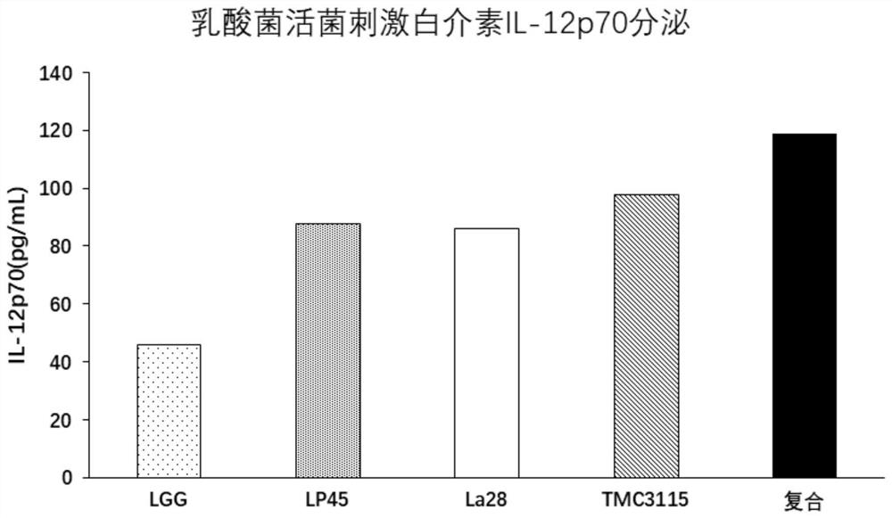 Application of Bifidobacterium bifidum tmc3115 and its complex bacteria in alleviating and improving allergy