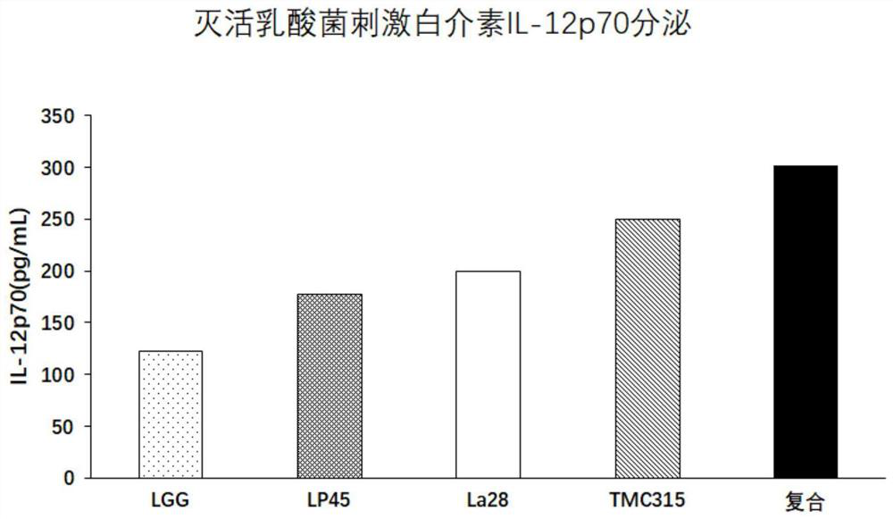 Application of Bifidobacterium bifidum tmc3115 and its complex bacteria in alleviating and improving allergy